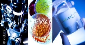 bild_c-lecta_rgb_1920x1113_q2.jpg