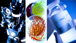c-lecta_400x230_h.png